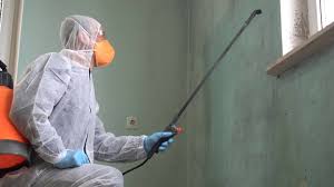 Best Emergency Mold Remediation  in Irwin, SC