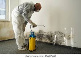 Best Mold Prevention Services  in Irwin, SC